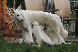 TETER - BERGER BLANC SUISSE 029